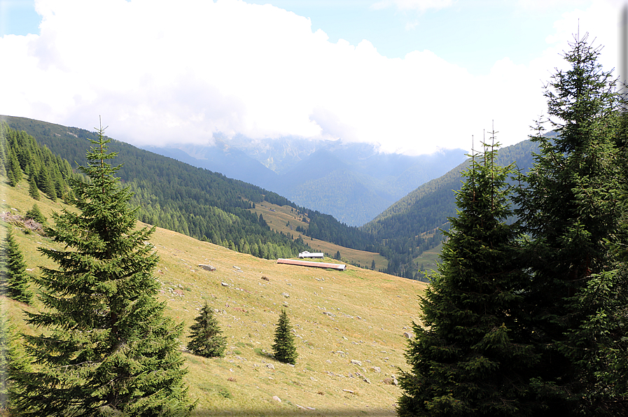 foto Da Forcella Montalon a Val Campelle